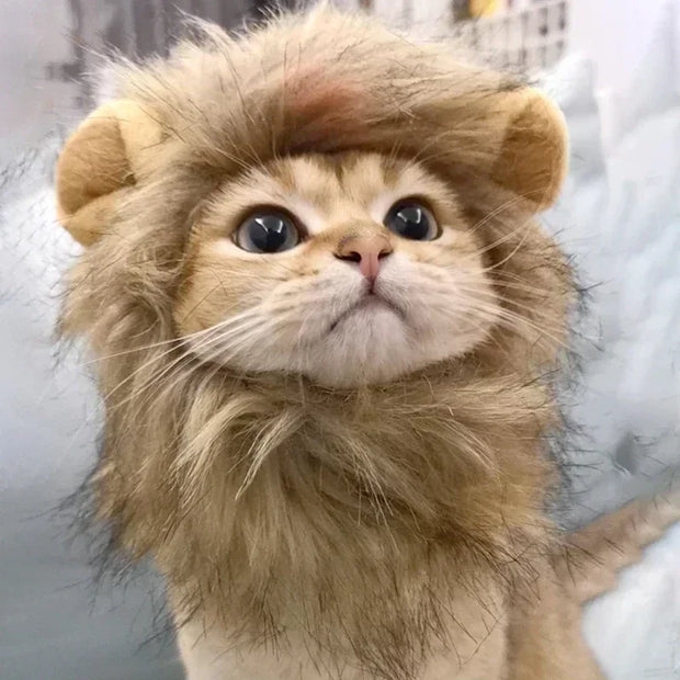 Pet Hat Lion Mane for Cats, Costume Halloween