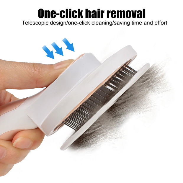 Easy Clean Cat Beauty Brush