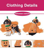 Funny Dog Halloween & Christmas Costumes