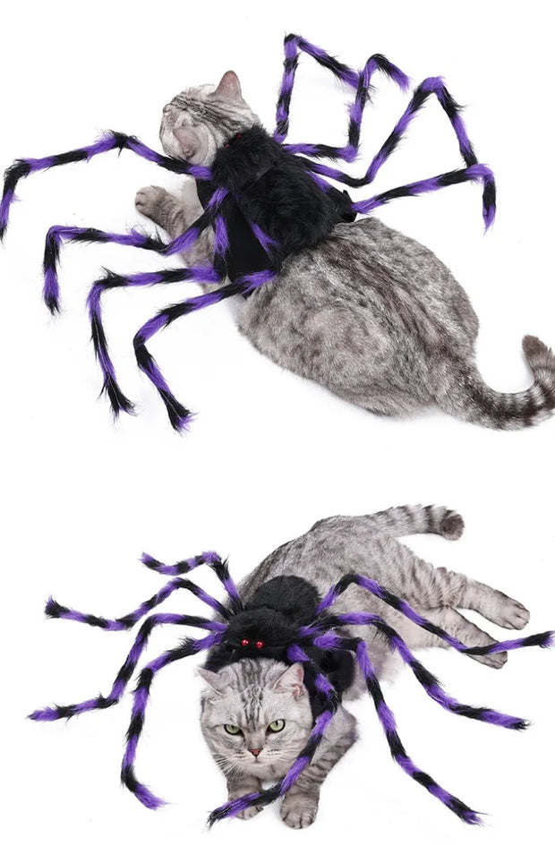 Pet Halloween Costume Black Spider Pet Decoration Small Dog Cat Decoration Ghost Day Accessories Ornament Creative Decor Supplie