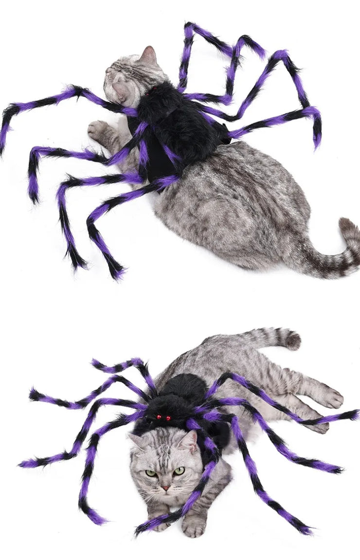 Pet Halloween Costume Black Spider Pet Decoration Small Dog Cat Decoration Ghost Day Accessories Ornament Creative Decor Supplie