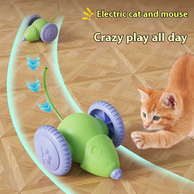Rechargeable Interactive Pet Mouse Toy