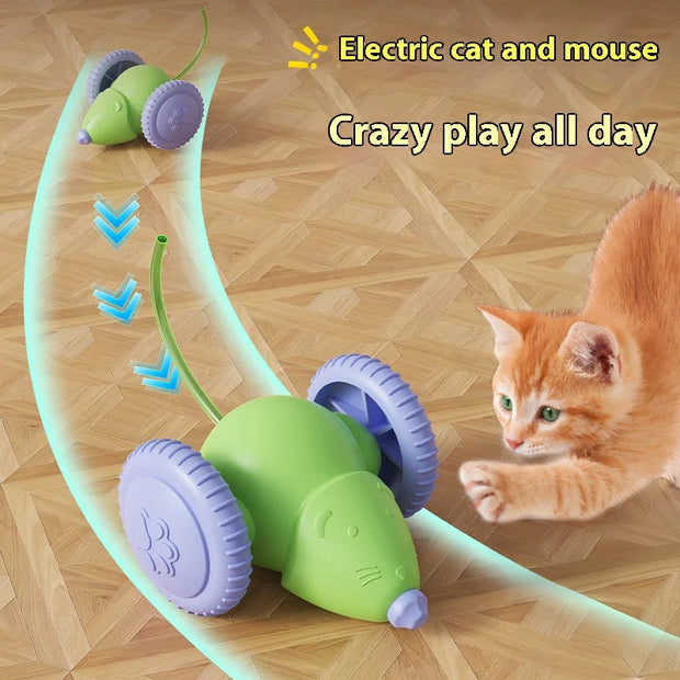Rechargeable Interactive Pet Mouse Toy