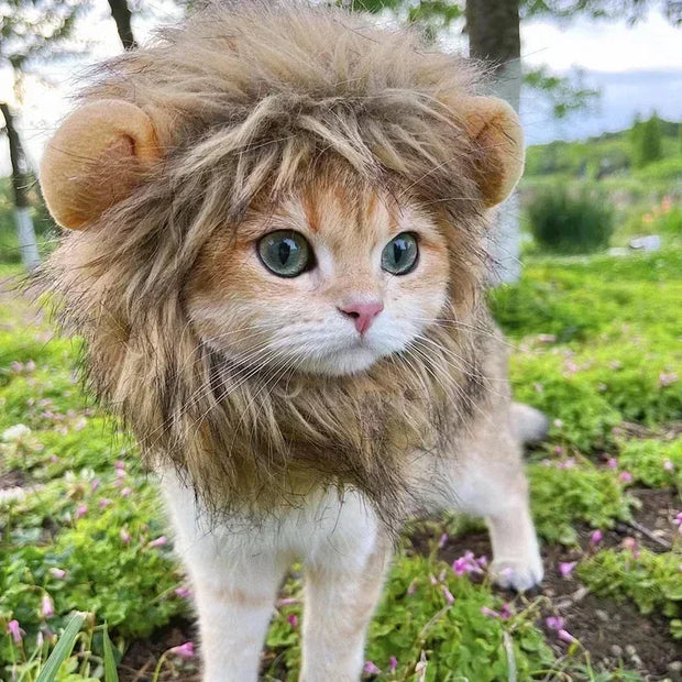 Pet Hat Lion Mane for Cats, Costume Halloween