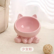 Ceramic Elevated Cat Food Bowl