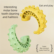 Dog Teeth Cleaning Chew Toy