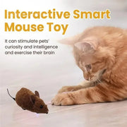 “Cat Mouse Toy – Plush, Sound Simulation, Durable & Fun”