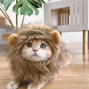 Pet Hat Lion Mane for Cats, Costume Halloween