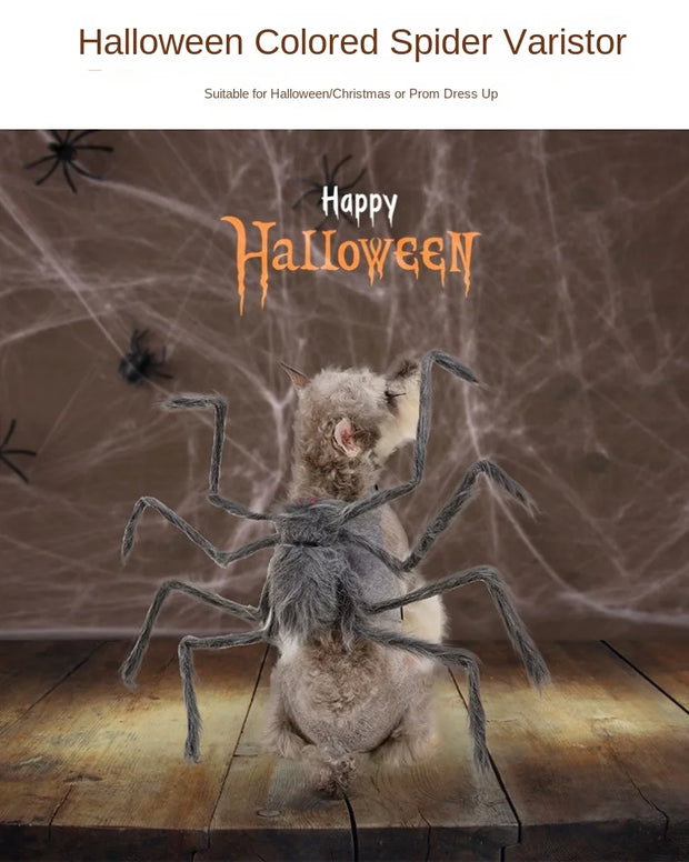 Pet Halloween Costume Black Spider Pet Decoration Small Dog Cat Decoration Ghost Day Accessories Ornament Creative Decor Supplie