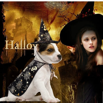 Funny Pumpkin Pet Halloween Costumes Cape Adjustable