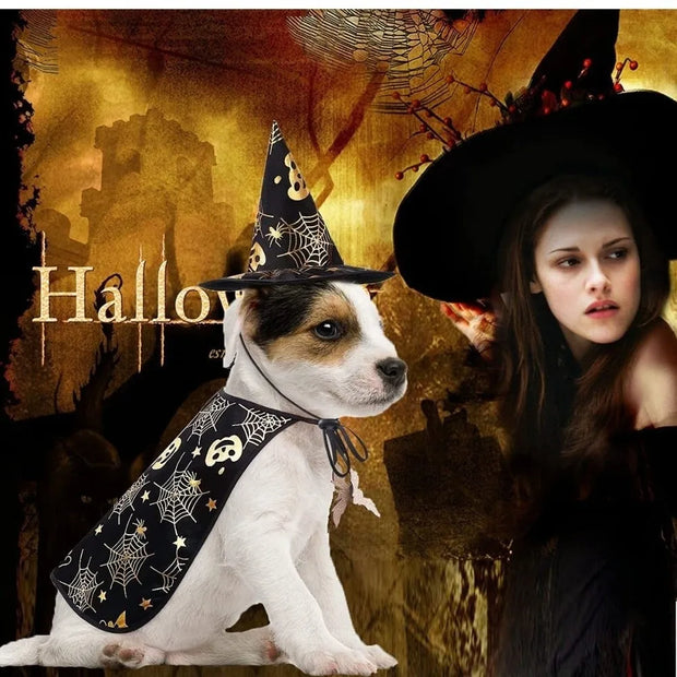 Funny Pumpkin Pet Halloween Costumes Cape Adjustable