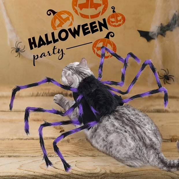 Pet Halloween Costume Black Spider Pet Decoration Small Dog Cat Decoration Ghost Day Accessories Ornament Creative Decor Supplie