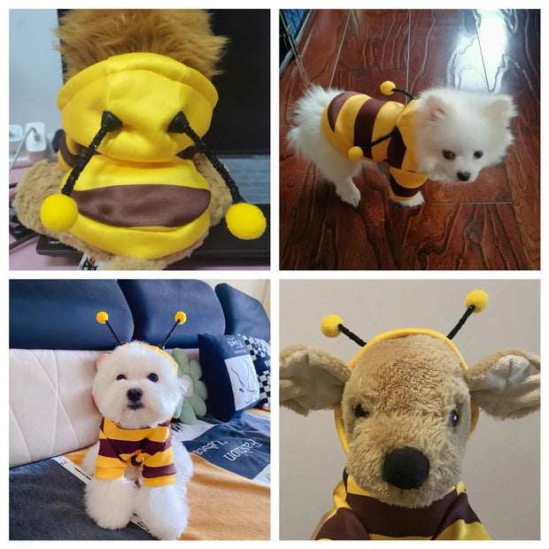 Dog bee puppy kitten hood