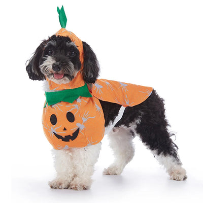 Funny Dog Halloween & Christmas Costumes