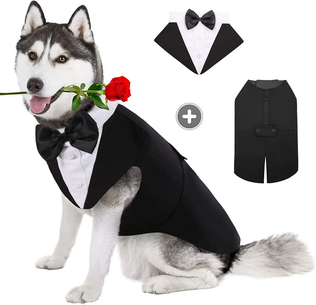 Halloween Dress for Small and Large Dogs