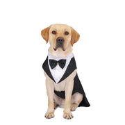 Halloween Dress for Small and Large Dogs