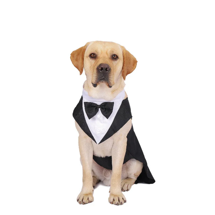 Halloween Dress for Small and Large Dogs