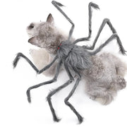Pet Halloween Costume Black Spider Pet Decoration Small Dog Cat Decoration Ghost Day Accessories Ornament Creative Decor Supplie