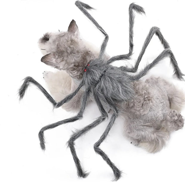 Pet Halloween Costume Black Spider Pet Decoration Small Dog Cat Decoration Ghost Day Accessories Ornament Creative Decor Supplie