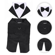 Halloween Dress for Small and Large Dogs