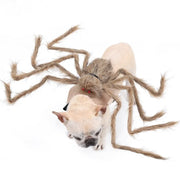 Pet Halloween Costume Black Spider Pet Decoration Small Dog Cat Decoration Ghost Day Accessories Ornament Creative Decor Supplie