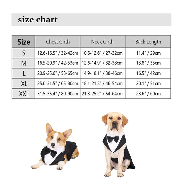 Halloween Dress for Small and Large Dogs