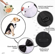 Halloween Dress for Small and Large Dogs