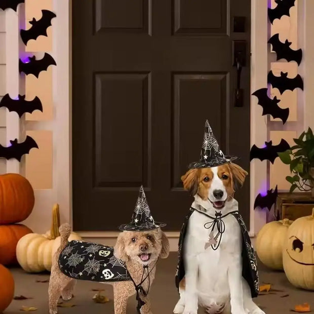 Funny Pumpkin Pet Halloween Costumes Cape Adjustable