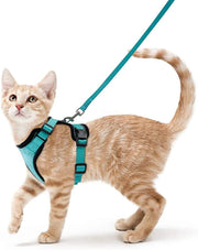 Fashion Cat Collar Necklace Set