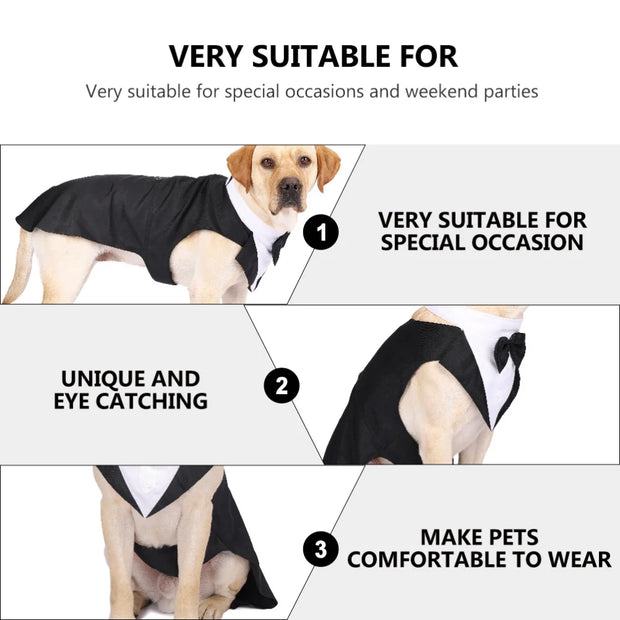 Halloween Dress for Small and Large Dogs