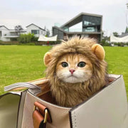 Pet Hat Lion Mane for Cats, Costume Halloween