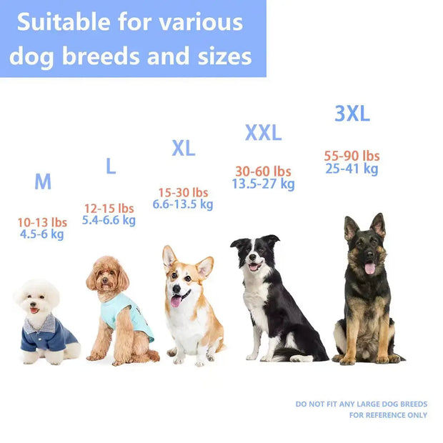 Waterproof Hooded Raincoat for Dogs