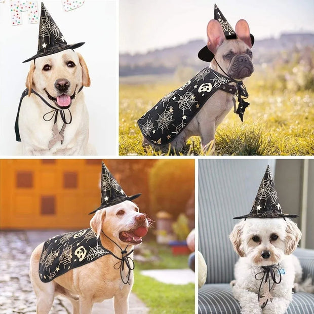 Funny Pumpkin Pet Halloween Costumes Cape Adjustable