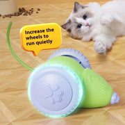 Rechargeable Interactive Pet Mouse Toy