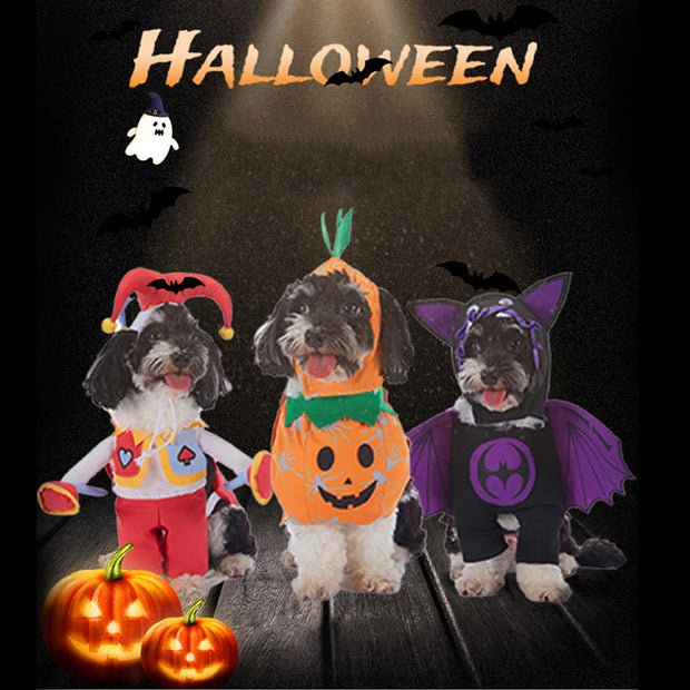 Funny Dog Halloween & Christmas Costumes