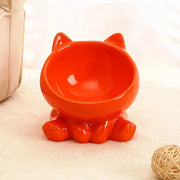 Ceramic Elevated Cat Food Bowl
