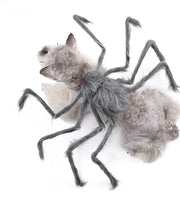 Pet Halloween Costume Black Spider Pet Decoration Small Dog Cat Decoration Ghost Day Accessories Ornament Creative Decor Supplie