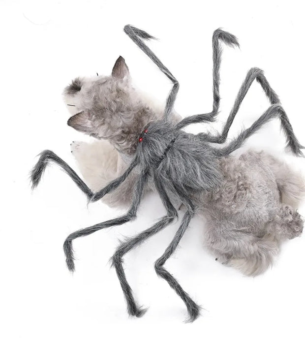 Pet Halloween Costume Black Spider Pet Decoration Small Dog Cat Decoration Ghost Day Accessories Ornament Creative Decor Supplie