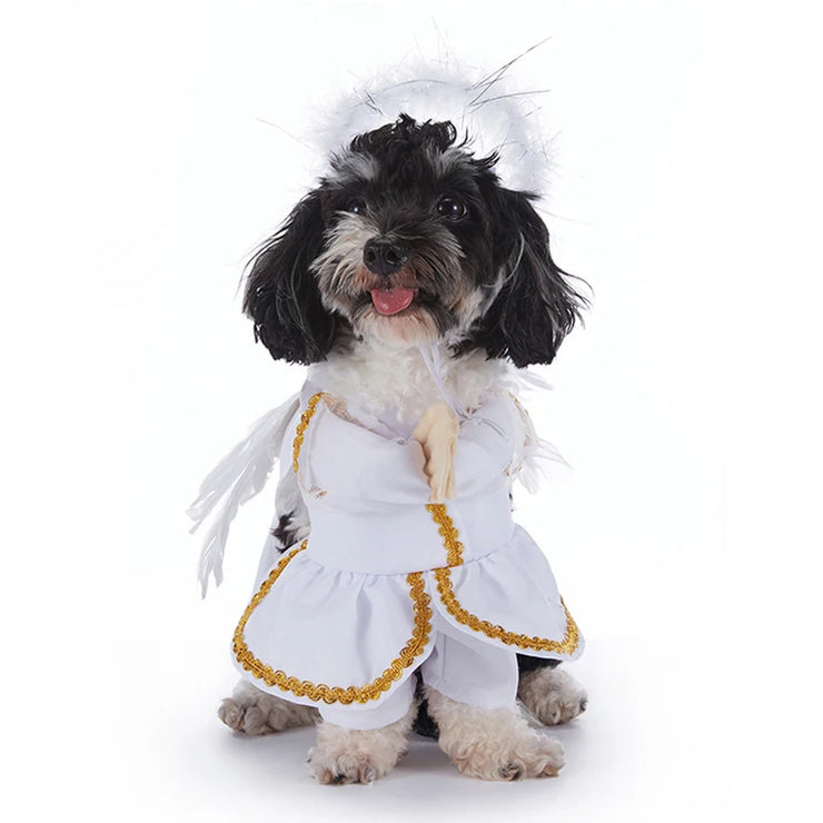 Funny Dog Halloween & Christmas Costumes