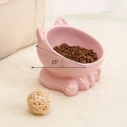 Ceramic Elevated Cat Food Bowl