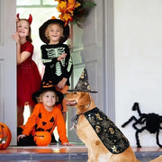 Funny Pumpkin Pet Halloween Costumes Cape Adjustable