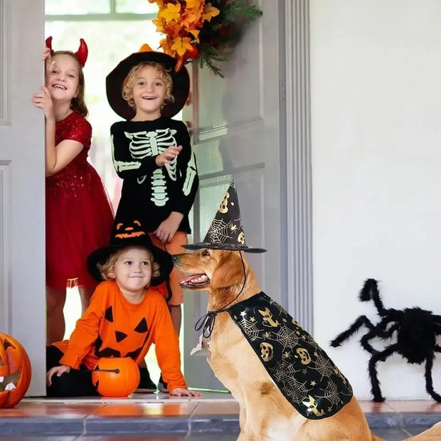 Funny Pumpkin Pet Halloween Costumes Cape Adjustable