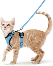 Fashion Cat Collar Necklace Set