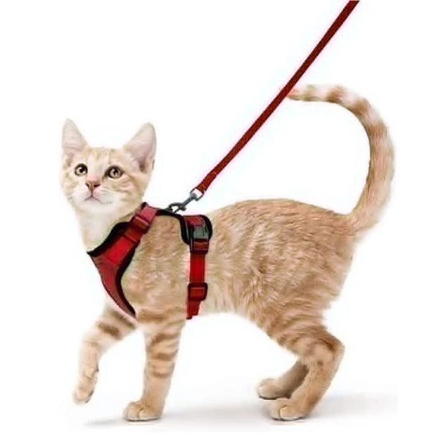 Fashion Cat Collar Necklace Set