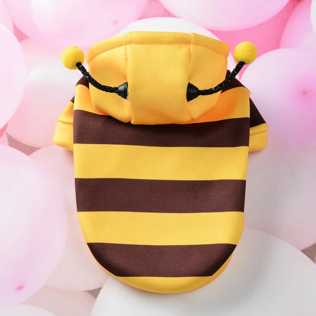 Dog bee puppy kitten hood
