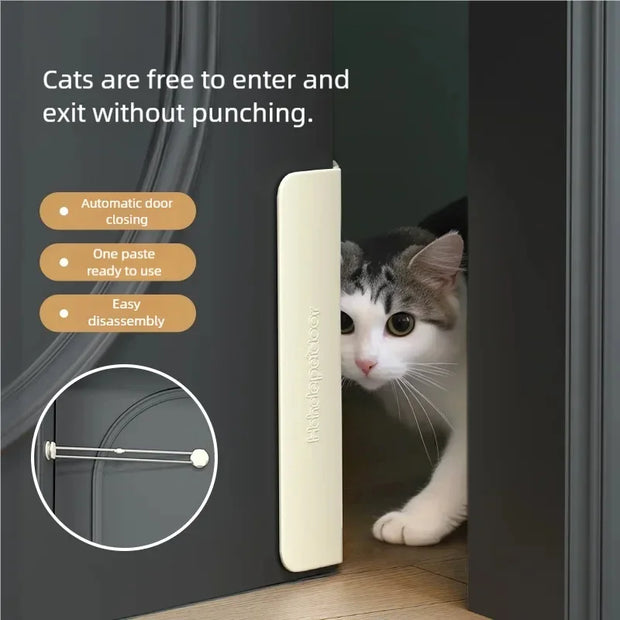 Cat Door with Auto Close