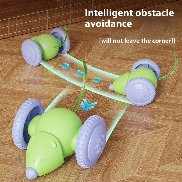 Rechargeable Interactive Pet Mouse Toy
