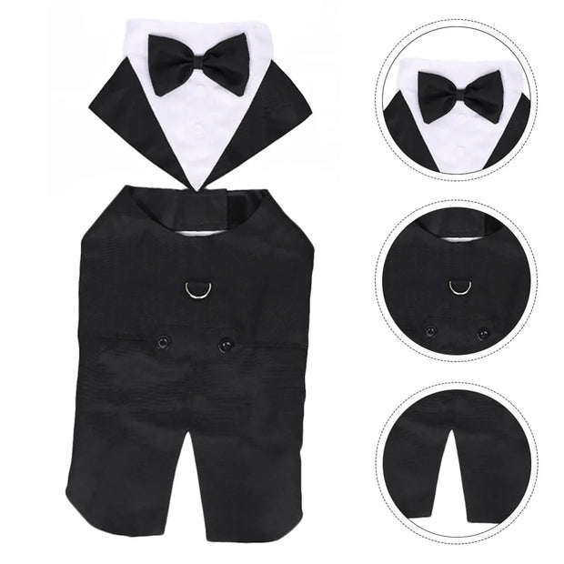Halloween Dress for Small and Large Dogs