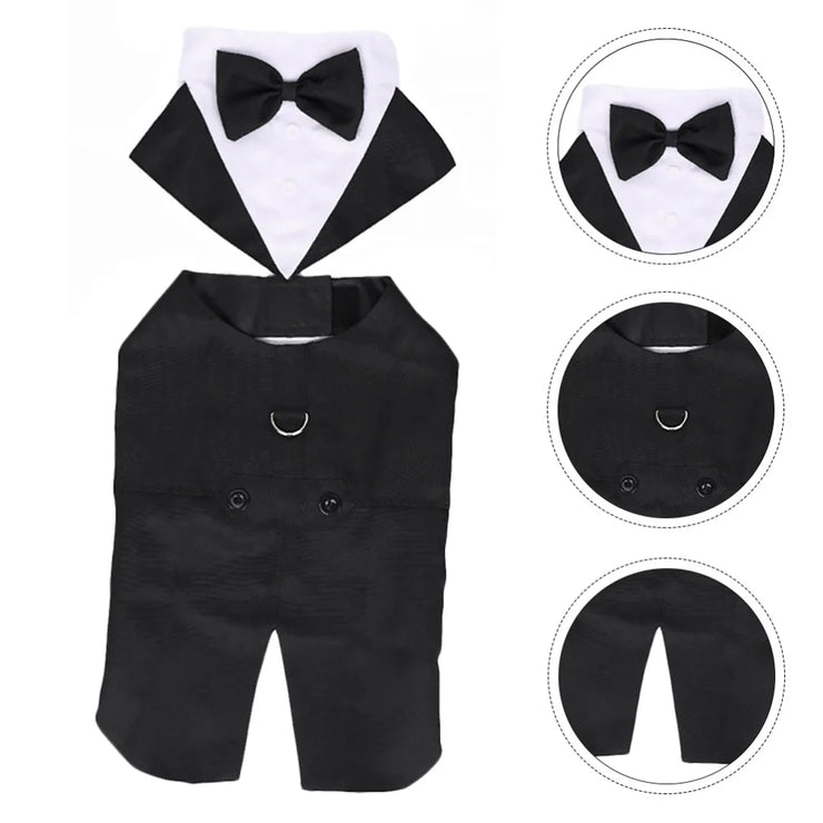 Halloween Dress for Small and Large Dogs