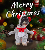 Funny Dog Halloween & Christmas Costumes